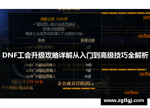 DNF工会升级攻略详解从入门到高级技巧全解析