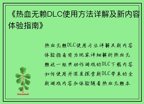 《热血无赖DLC使用方法详解及新内容体验指南》